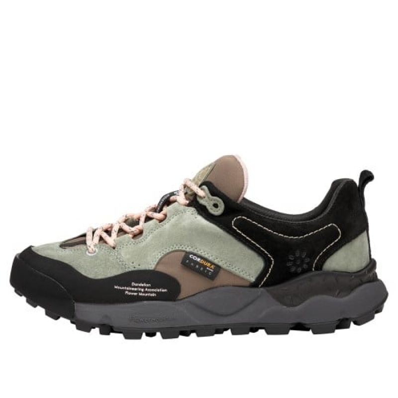 Flower Mountain Back Country Hkdelic Sneakers Herr Svarta Gröna | NTR933LH